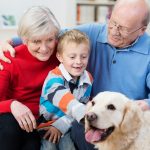 kutya, nyugdíjas, házikedvenc, gyerek, unoka