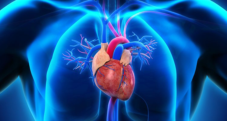 sutter egészségügyi beteg bejelentkezési szív gyors vérnyomáscsökkentő
